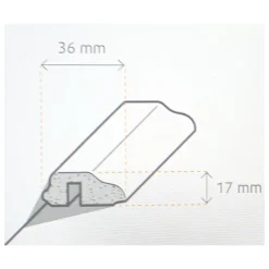 Deckenabschlussleiste weiß 260 x 1,7 x 3,6 cm ^ Specht Sale