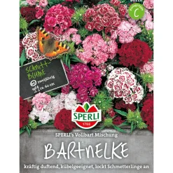 Bartnelken ngs Vollbart Mischung ^ Sperli Sale
