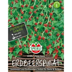 Erdbeerspinat ngs Rote Gans ^ Sperli Hot