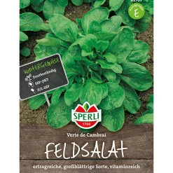 Feldsalat Verte de Cambrai ^ Sperli Clearance