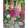 Fingerhut ngs Mervita Mischung ^ Sperli Hot