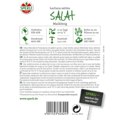 Kopfsalat Maikönig ^ Sperli