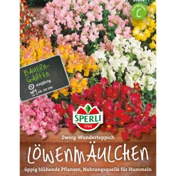 Löwenmaul Zwerg-Wunderteppich ^ Sperli