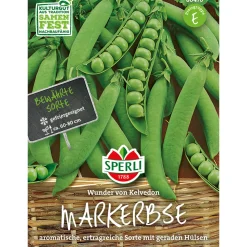 Markerbse Wunder von Kelvedon 8-14 Tage ^ Sperli