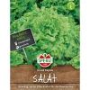 Pflücksalat Grand Rapids ^ Sperli Clearance
