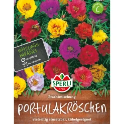 Portulakröschen Prachtmischung ^ Sperli Clearance