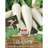 Rettich Rex 5 m Saatband ^ Sperli Hot