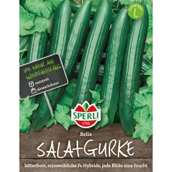 Salatgurke Bella ^ Sperli New