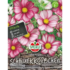 Schmuckkörbchen Candy Stripes ^ Sperli Clearance