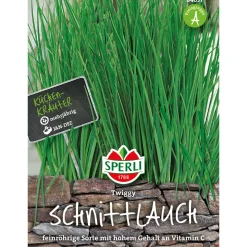 Schnittlauch Twiggy ^ Sperli Online