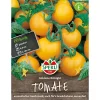 Tomaten Goldene Königin ^ Sperli Discount