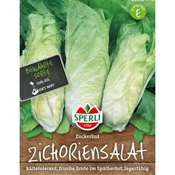 Zichoriensalat Zuckerhut ^ Sperli Best
