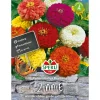 Zinnien Dahlienblütige Mischung ^ Sperli Discount