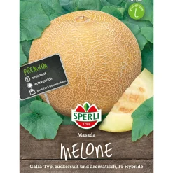 Zuckermelonen Masada ^ Sperli Discount