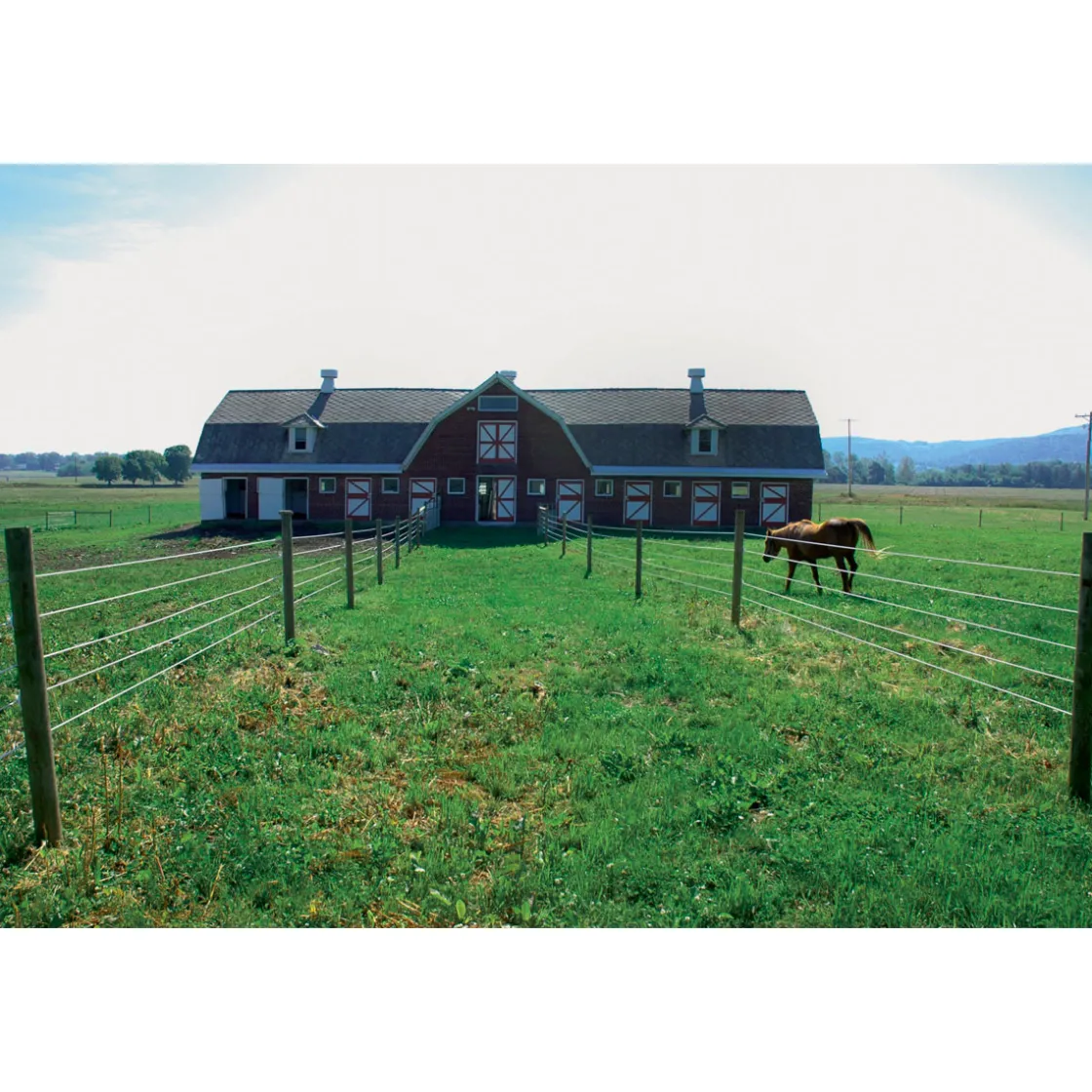 Stahldraht Premium Horse Wire 250 m ^ Hot