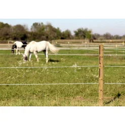 Stahldraht Premium Horse Wire 250 m ^ Hot