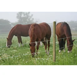 Stahldraht Premium Horse Wire 250 m ^ Hot