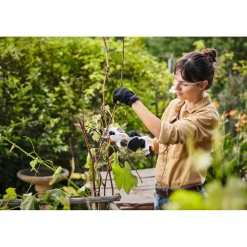 Akku-Astschere ASA 20 Set ^ Stihl Discount
