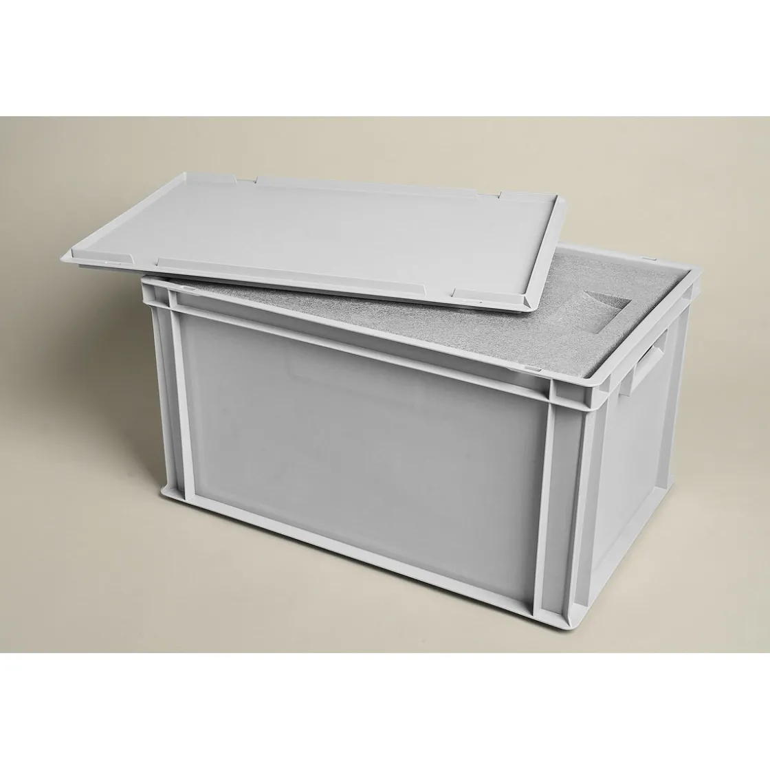 Thermobox mit Deckel 54,5 x 35 x 30 cm ^ Outlet