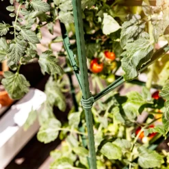 Tomaten-Rankturm 150x30cm ^ Windhager Outlet