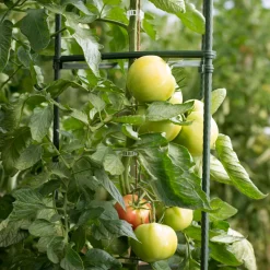 Tomaten-Rankturm 150x30cm ^ Windhager Outlet