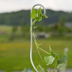 Tomatenspiralstab m. Haken 180cm ^ Windhager New