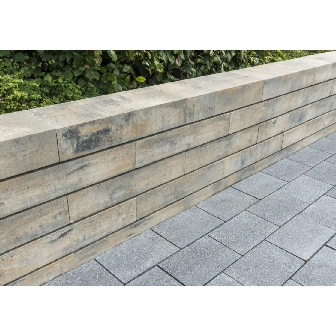 Top Mauer Muschelkalk 60/25/12,5 cm ^ Diephaus Outlet