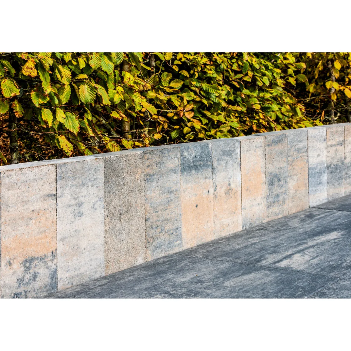 Top Palisade Muschelkalk 30/15/4,5 cm ^ Diephaus Clearance