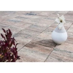 TP No. 1 Nature Muschelbeige 60x30x4 cm ^ Diephaus Discount