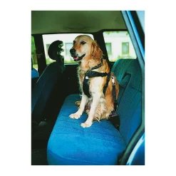 Auto-Gechirr chwarz 70-90 c ^ Trixie Best