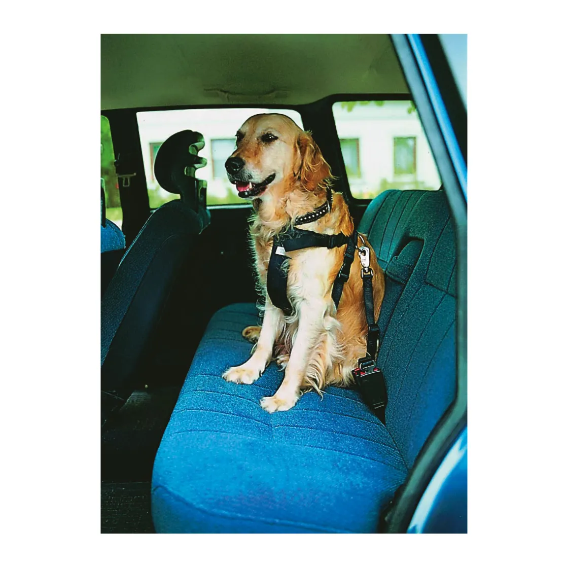 Auto-Gechirr chwarz 70-90 c ^ Trixie Best