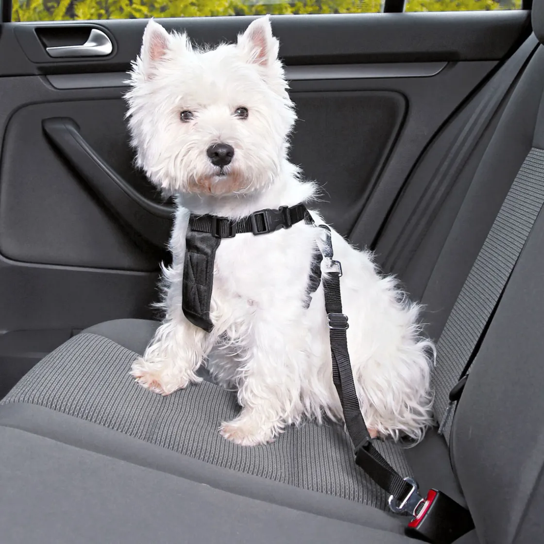 Auto-Gechirr chwarz 70-90 c ^ Trixie Best