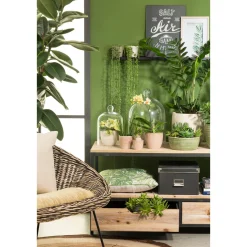 Uebertopf 866/25 corteza menta ^ Scheurich