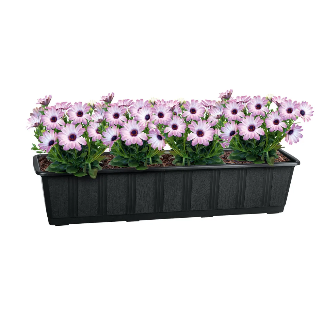 Untersetzer Aqua Green Plus anthrazit 60 cm ^ Geli Discount