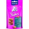 Vita Cat Yums Lachs 40g ^ Vitakraft Hot