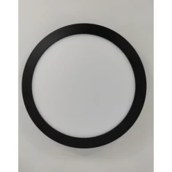 WallCeiling Abia LED-Panel 300 mm22W matt 230V Kunststoff ^ Paulmann New