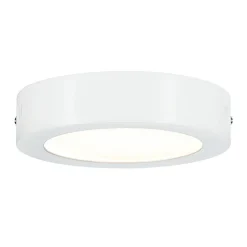 WallCeiling Lunar 20W LED 300mm weißmatt 230 V Alu ^ Paulmann Sale