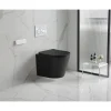 Wand-WC-Set Nakia mattschwarz spuelrand-los inkl. Deckel m. Absenkautomatik ^ sanicomfort Outlet