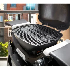 Gasgrill mit Stand Q1200N ^ Weber Discount