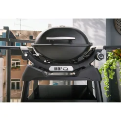 Gasgrill mit Stand Q1200N ^ Weber Discount