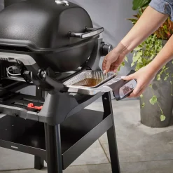 Gasgrill mit Stand Q1200N ^ Weber Discount