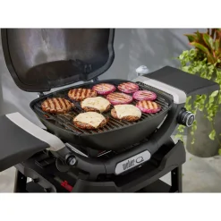 Gasgrill mit Stand Q1200N ^ Weber Discount