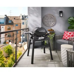 Gasgrill mit Stand Q1200N ^ Weber Discount