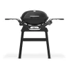 Gasgrill mit Stand Q2200N ^ Weber Best