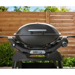 Gasgrill mit Stand Q2200N ^ Weber Best