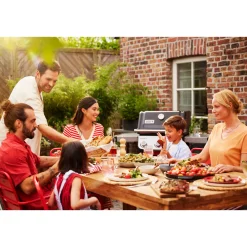 Gasgrill SPIRIT E-210 ^ Weber Clearance