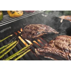 Gasgrill SPIRIT E-425 GBS ^ Weber Hot