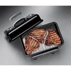 Holzkohlegrill Go-Anywhere ^ Weber Outlet