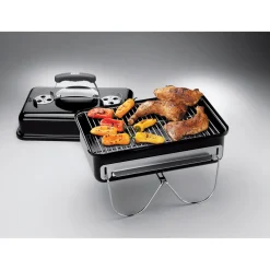 Holzkohlegrill Go-Anywhere ^ Weber Outlet