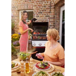 SPIRIT E-325 GBS Gasgrill ^ Weber New